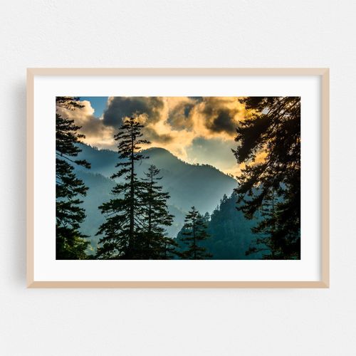 Newfound Gap