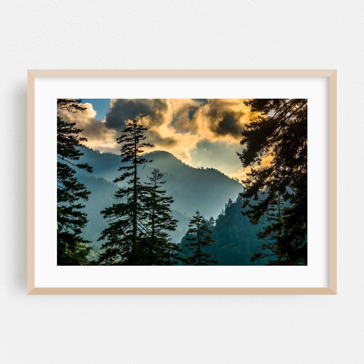 Newfound Gap – image 1 of 6