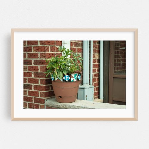 Flower Pot, Sunset Park