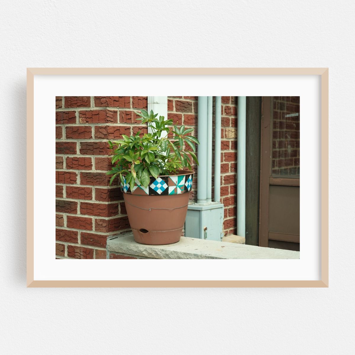 Flower Pot, Sunset Park – image 1 of 6