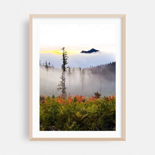 Foggy Sunrise