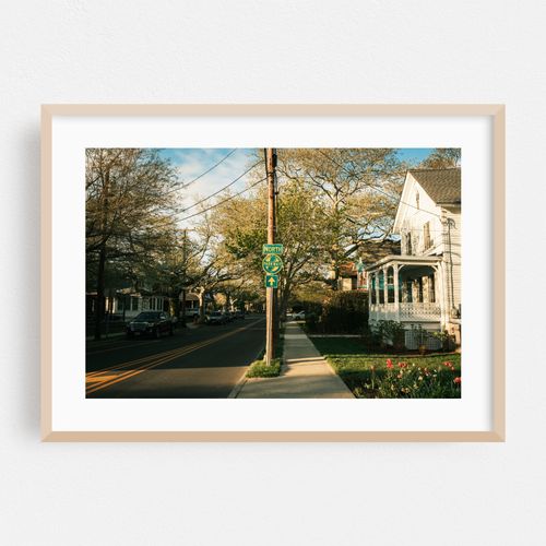 Spring in Cape May