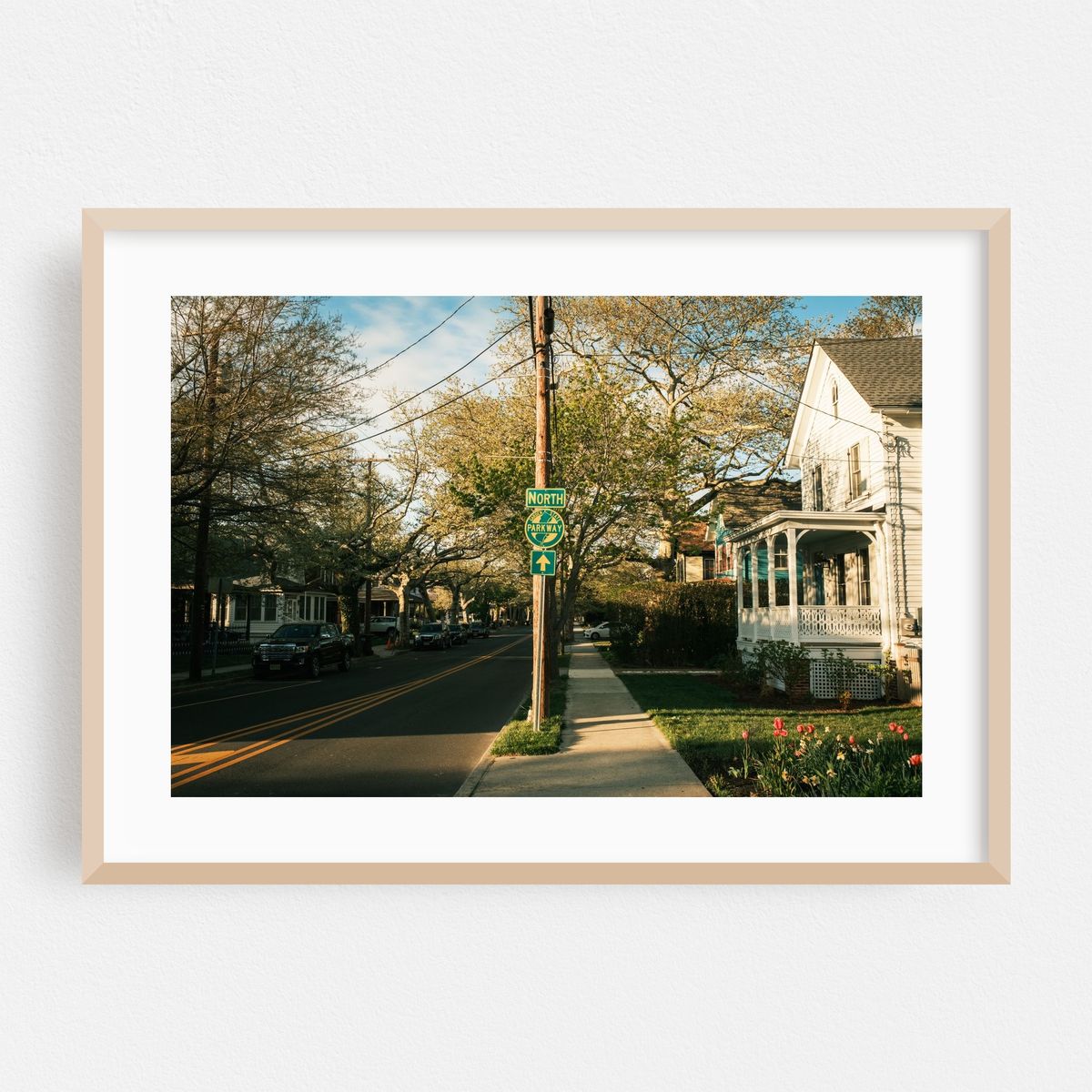 Spring in Cape May – image 1 of 6