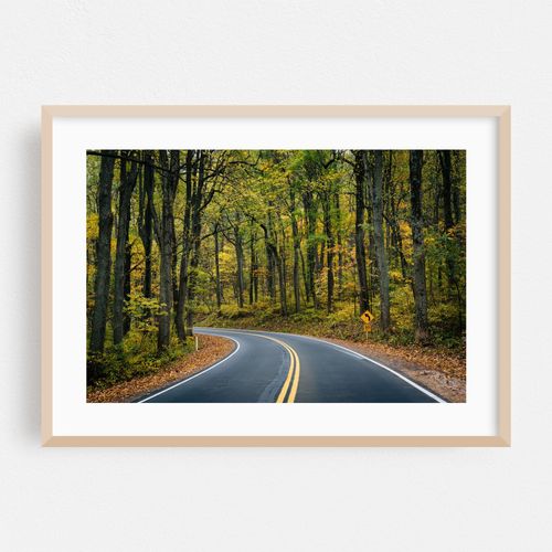 Skyline Drive, Shenandoah National Park 02
