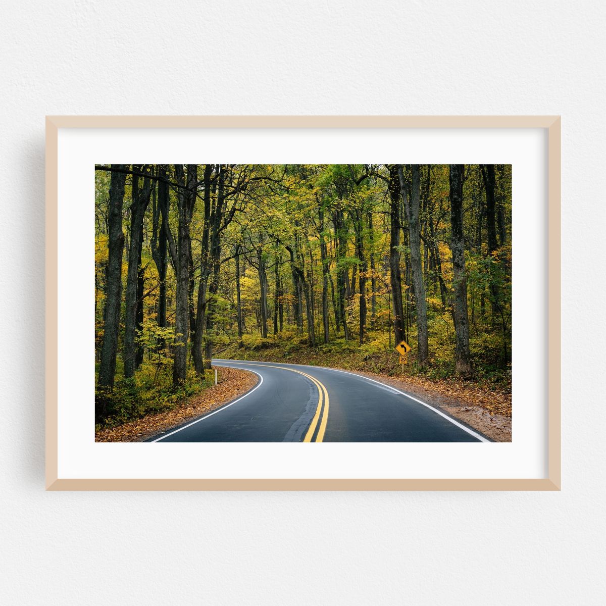 Skyline Drive, Shenandoah National Park 02 – image 1 of 6