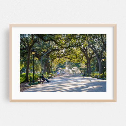 The Heart of Savannah