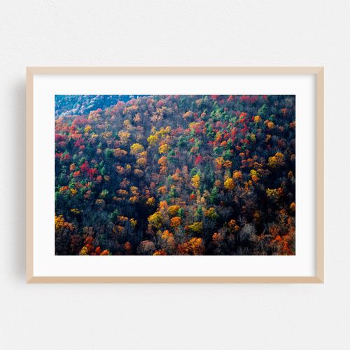 Fall In Virginia