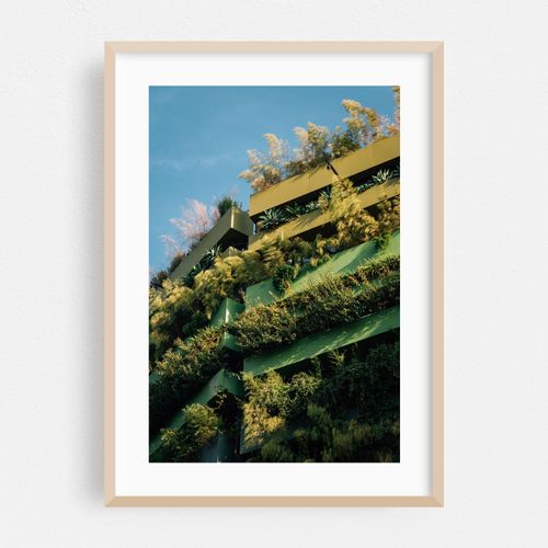 Foliage, DTLA