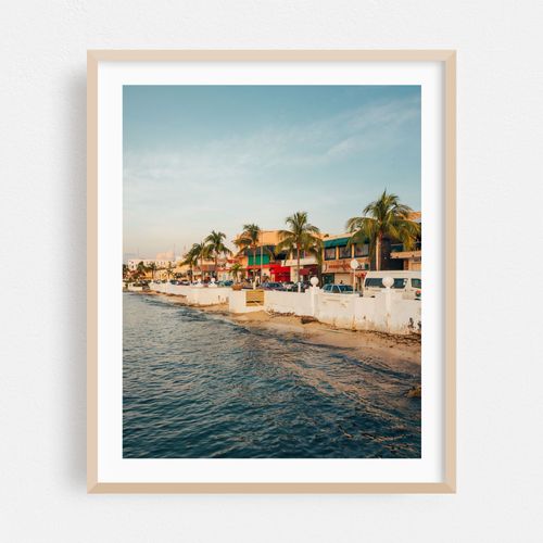 Cozumel Coastal 02