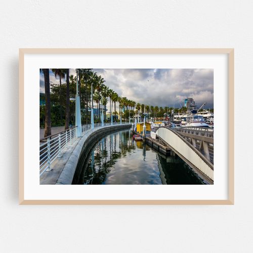 Cloudy Marina