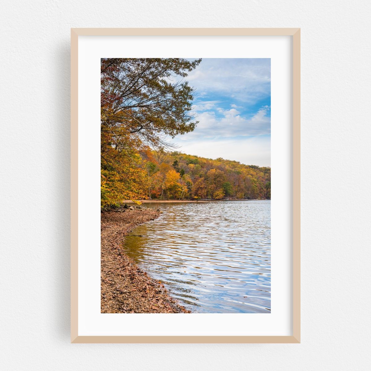 Autumn at Loch Raven Reservoir 01 – image 1 of 16