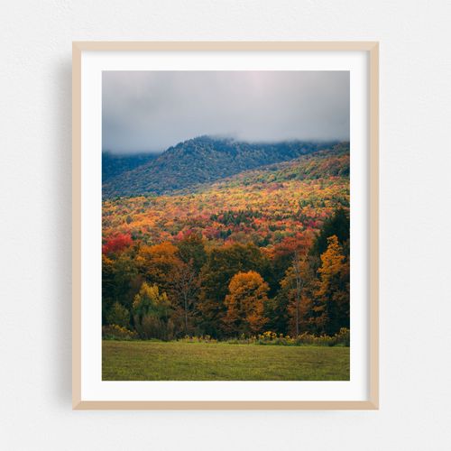 Catskills Autumn 04