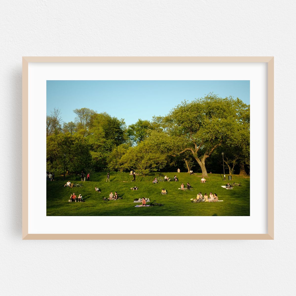 Spring Evening in Prospect Park 03 – image 1 of 6