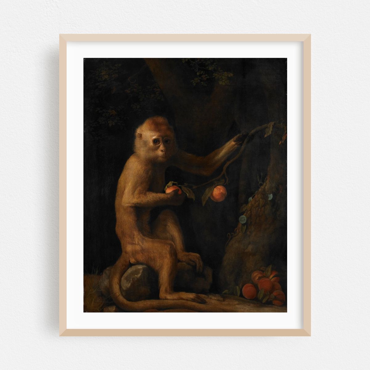 A Monkey (1799) – image 1 of 12