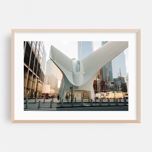 Oculus Exterior 01