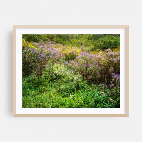 Roadside (I)
