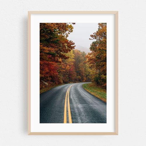 Fall Blue Ridge