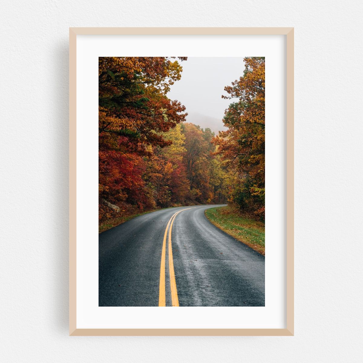 Fall Blue Ridge – image 1 of 16