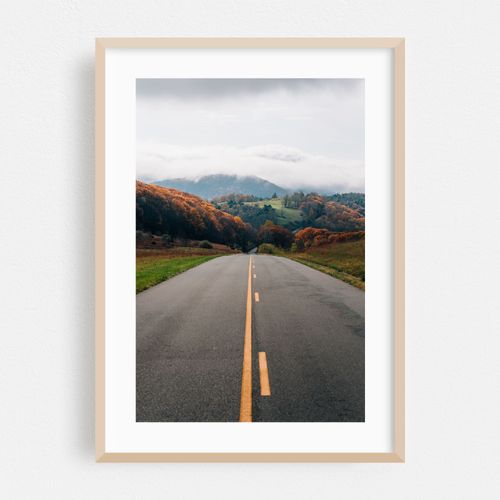 Foggy Autumn Day, Blue Ridge Parkway