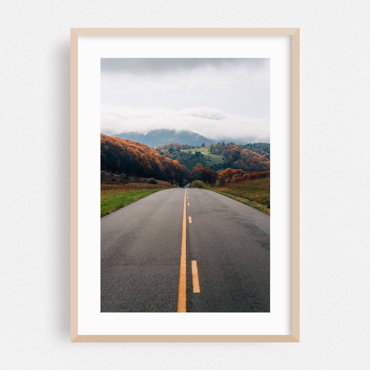 Foggy Autumn Day, Blue Ridge Parkway – image 1 of 16