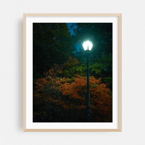 Lamp in Delaware Park, Buffalo