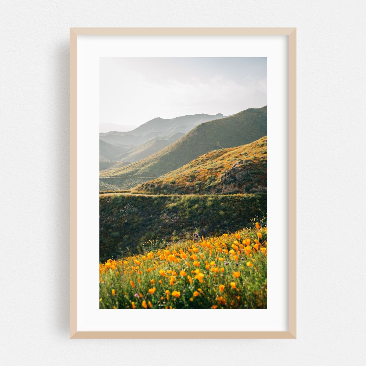 Superbloom Poppies 05 – image 1 of 16