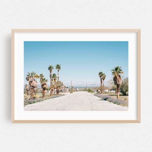 Palms, Desert Center