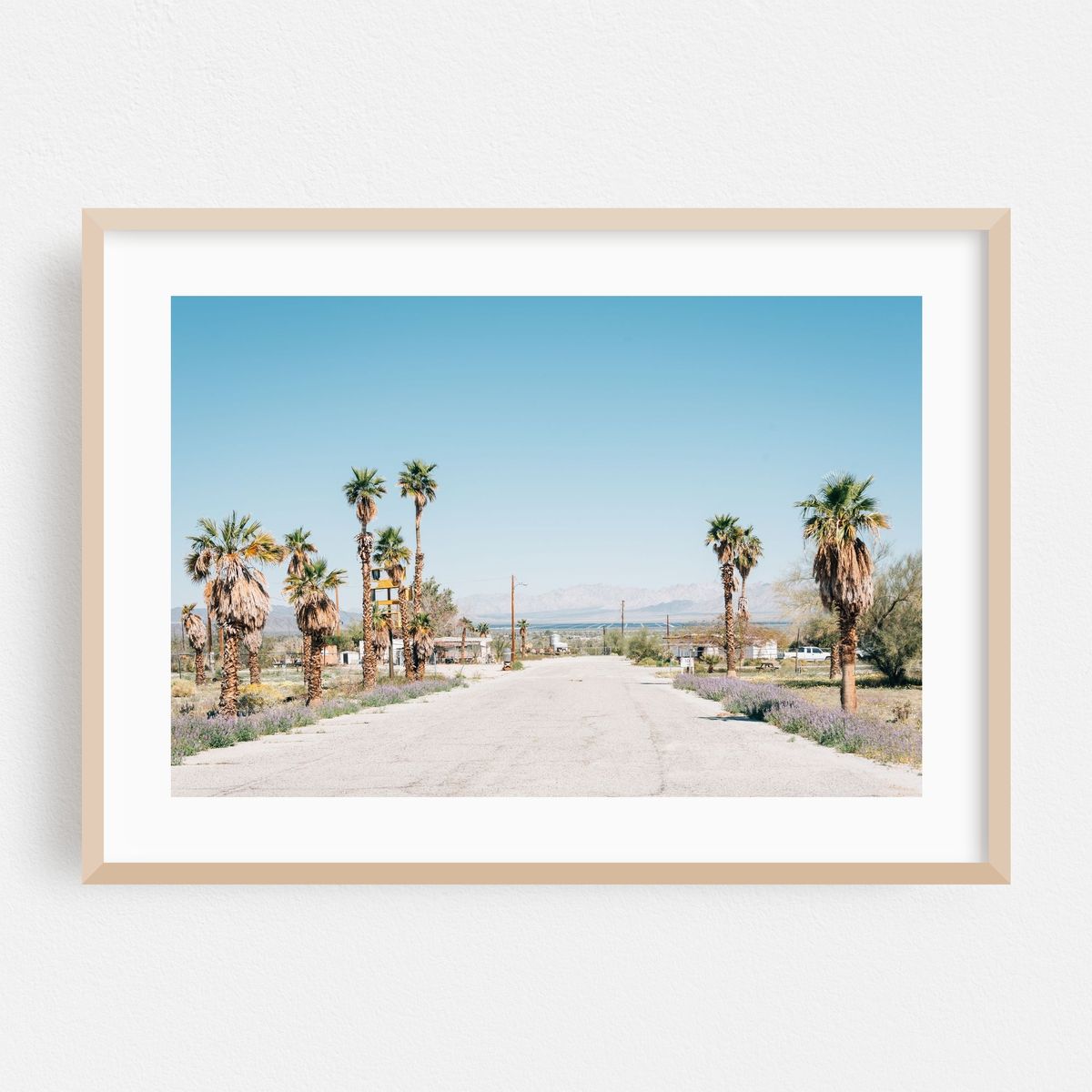 Palms, Desert Center – image 1 of 6
