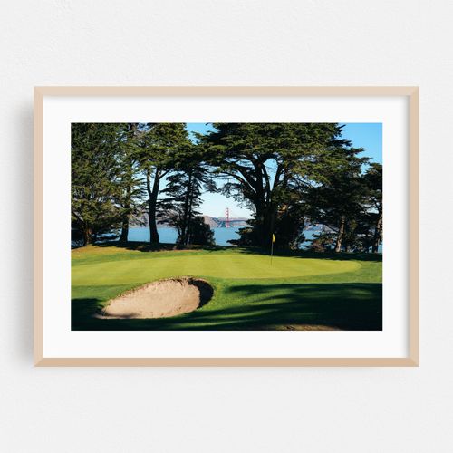Bay Birdie Landscape