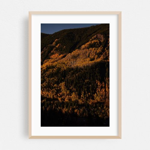Vail Valley Hillside