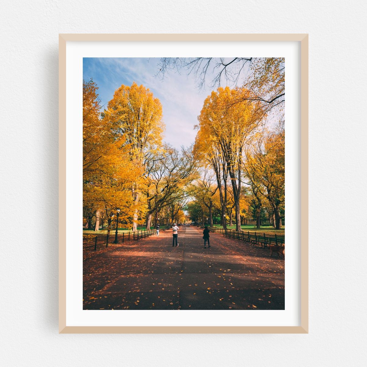Strolling The Mall – image 1 of 12