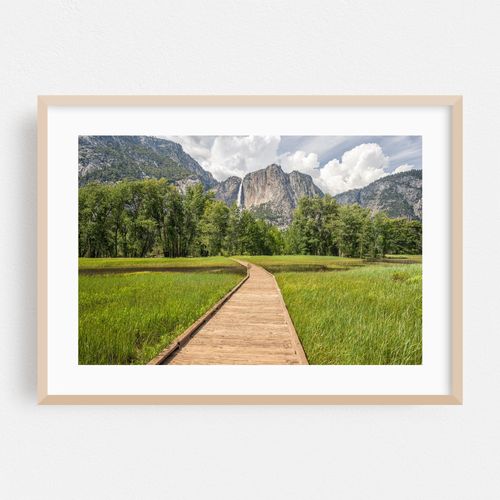 Pathway to Serenity - Yosemite Valley