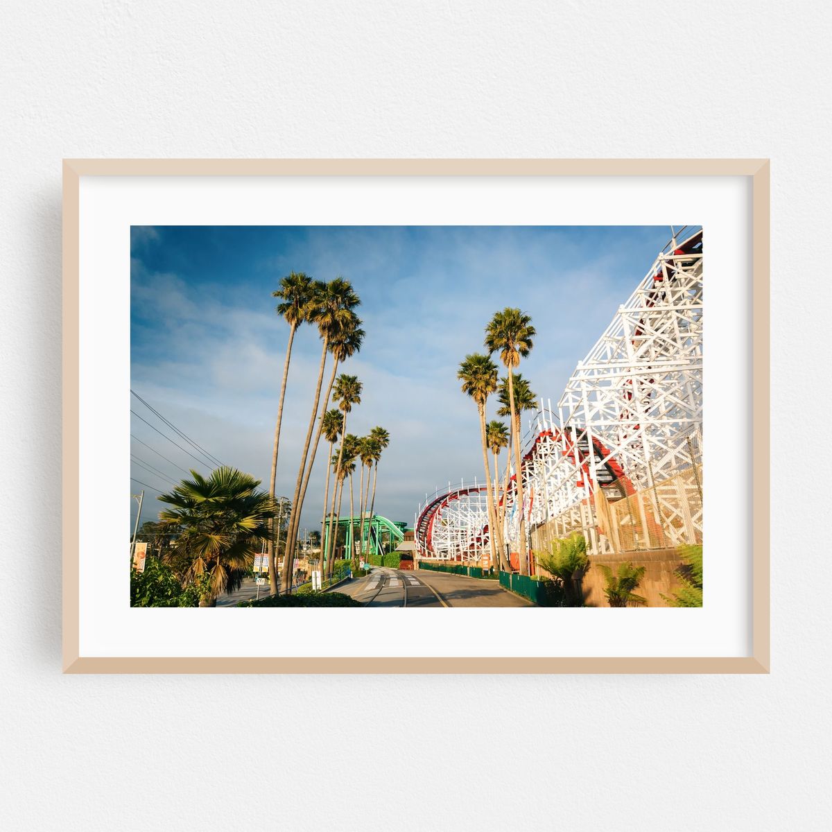 Palms in Santa Cruz – image 1 of 6