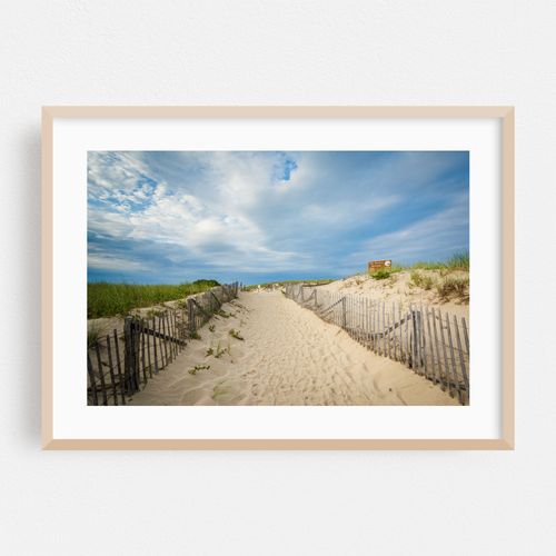 Dunes at Race Point, Provincetown 05