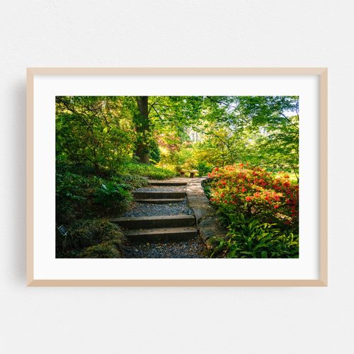 National Arboretum 01