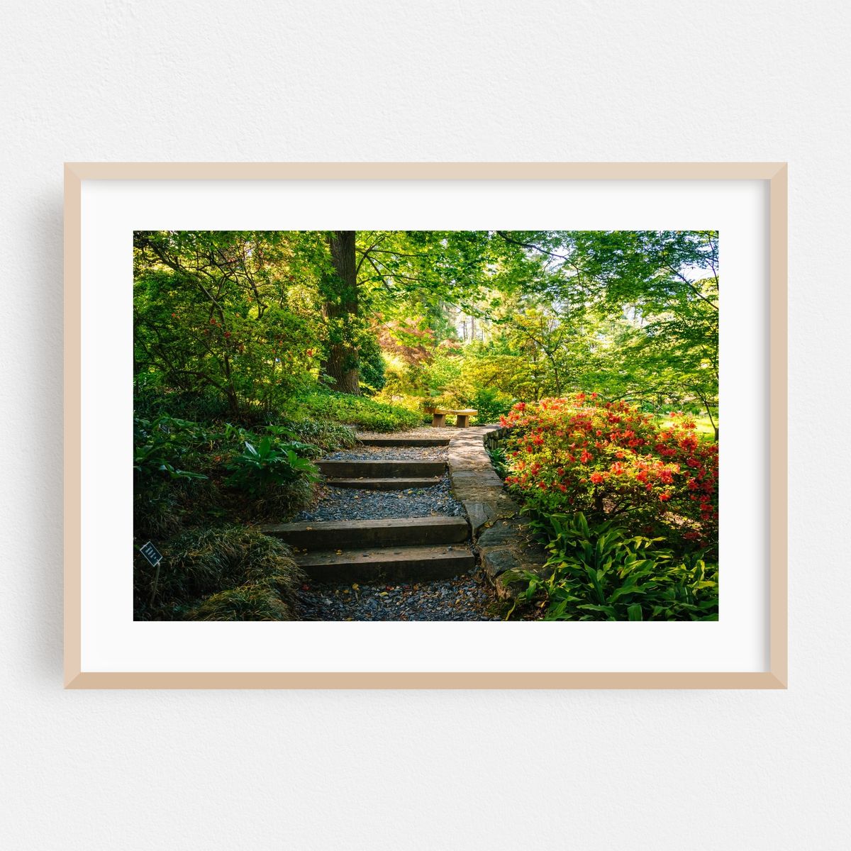 National Arboretum 01 – image 1 of 9