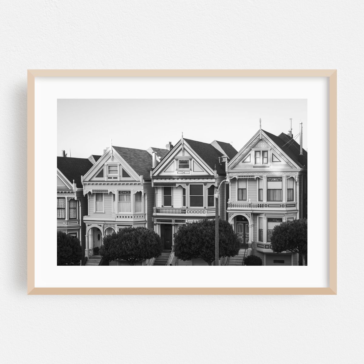 The Painted Ladies B&W – image 1 of 6