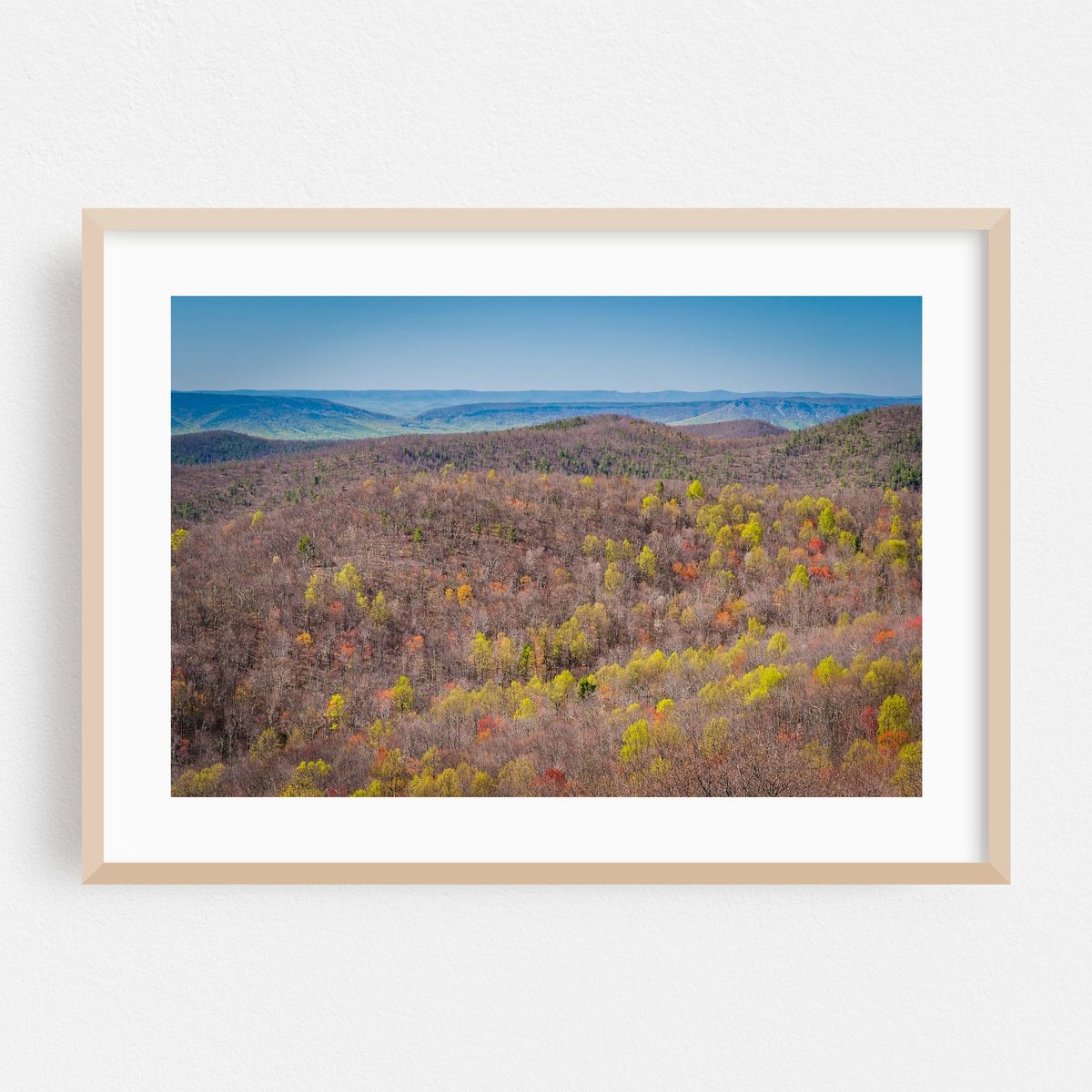 Early Spring 01 – image 1 of 6