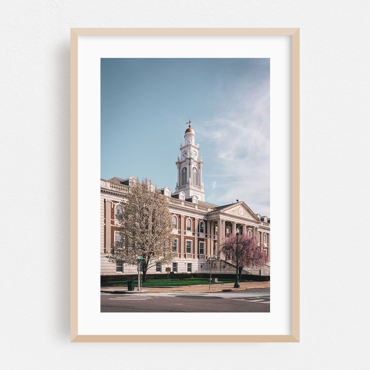 Schenectady City Hall – image 1 of 16