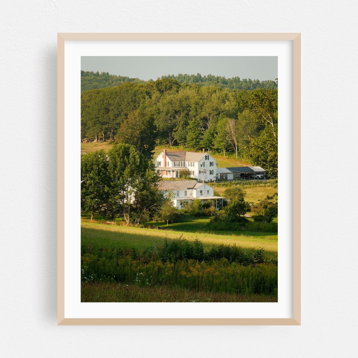 Countryside near Ashfield – image 1 of 12