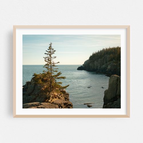 Cliffs at Quoddy Head
