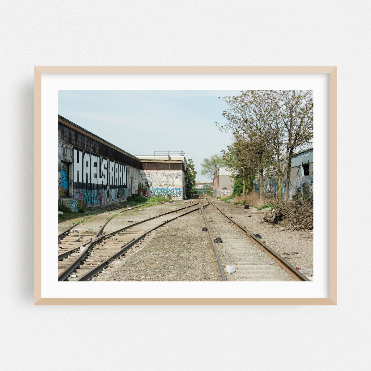 Rail, East Williamsburg 02 – image 1 of 3