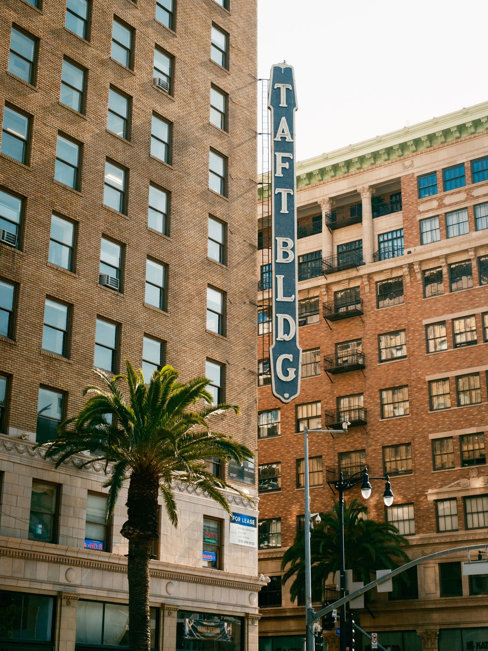 Taft Building, Los Angeles 02