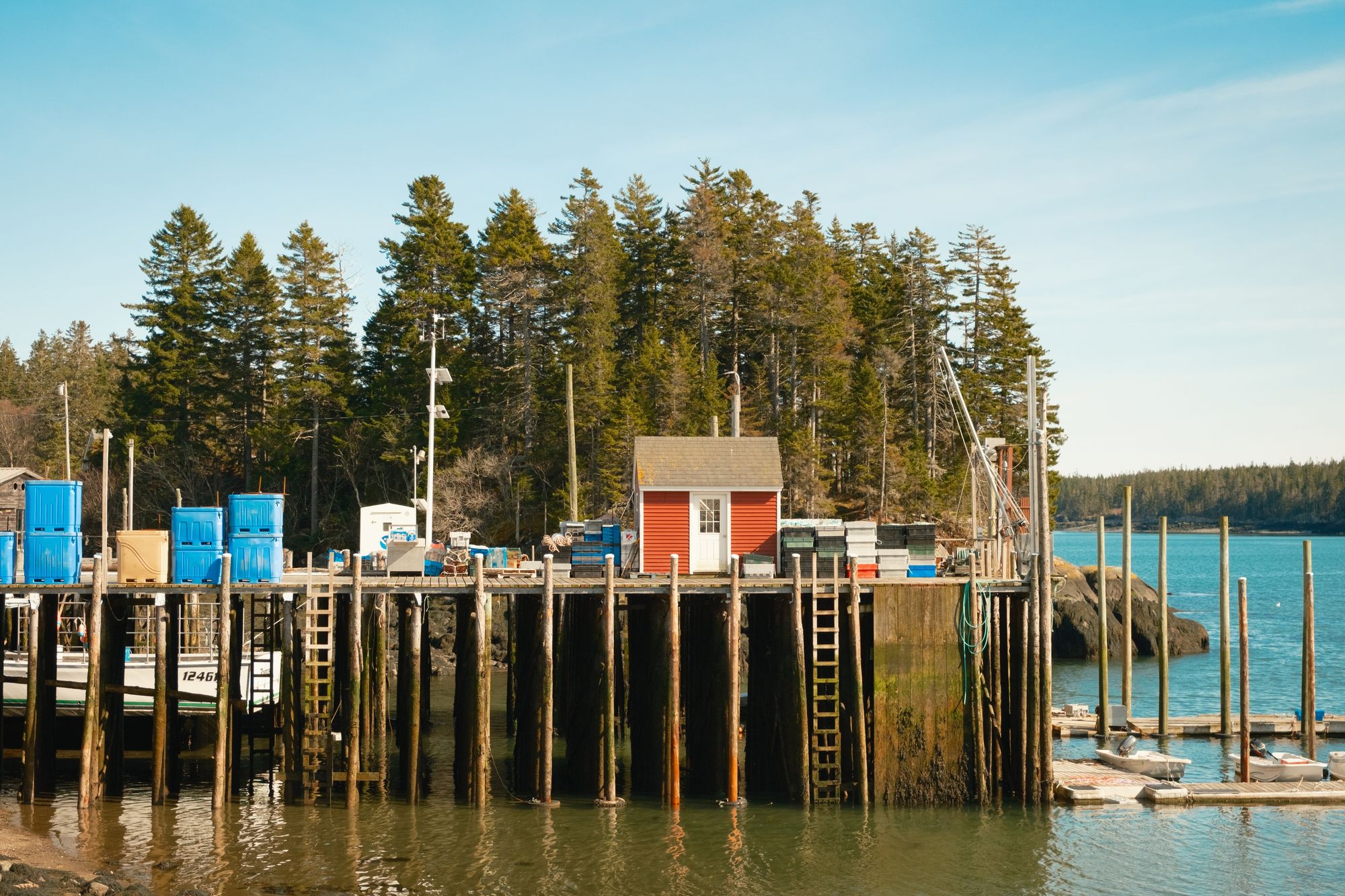 The Harbor, Cutler 01