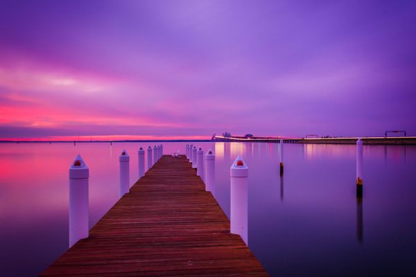 Purple