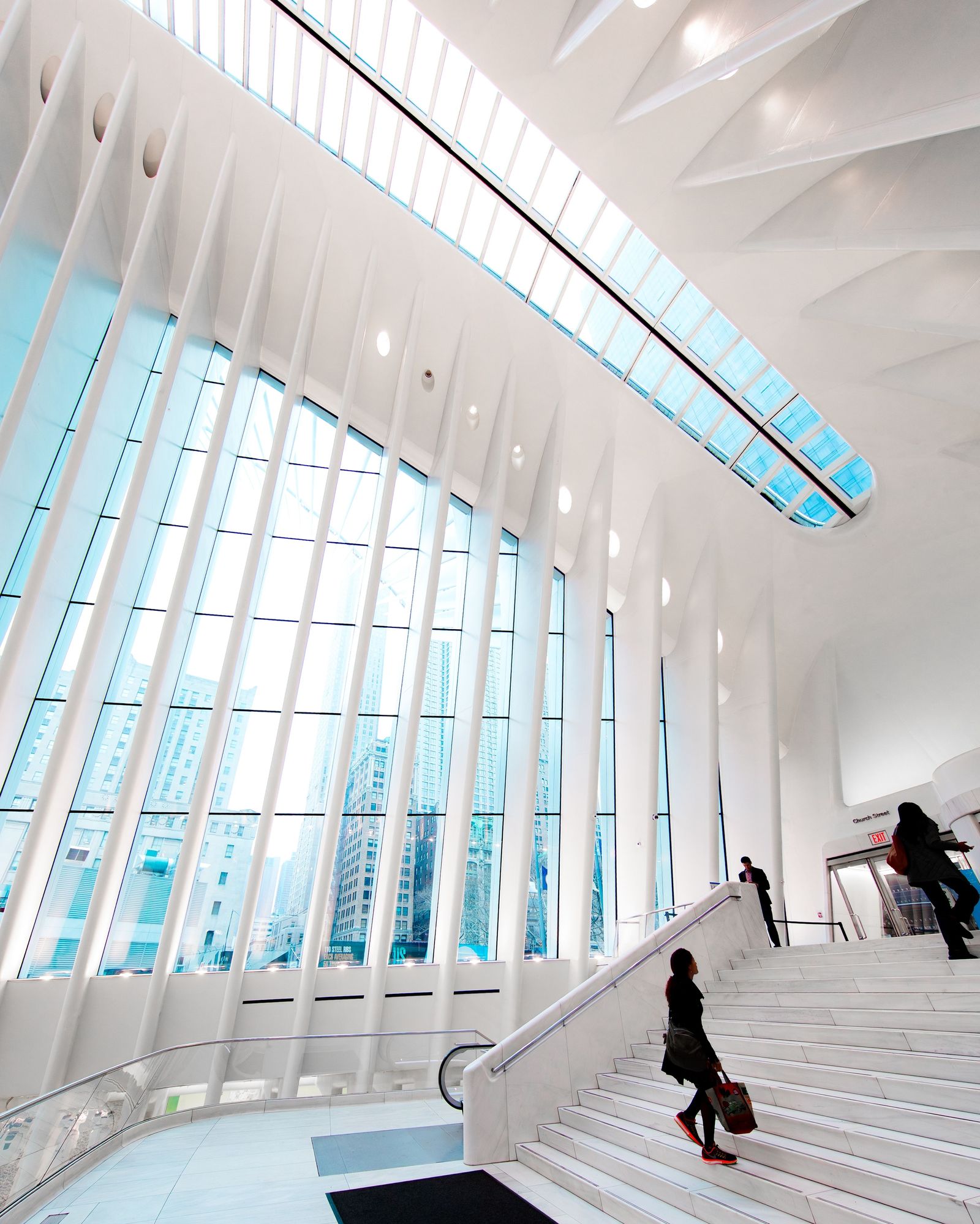 The Oculus 04