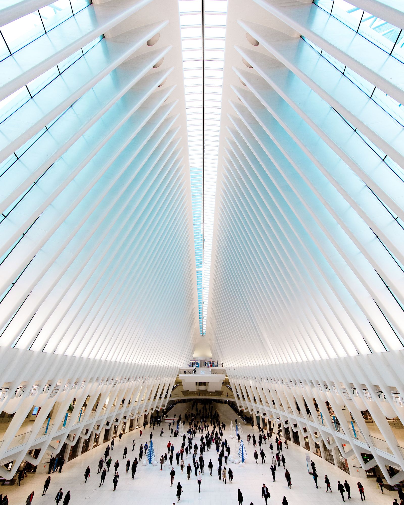 The Oculus 01