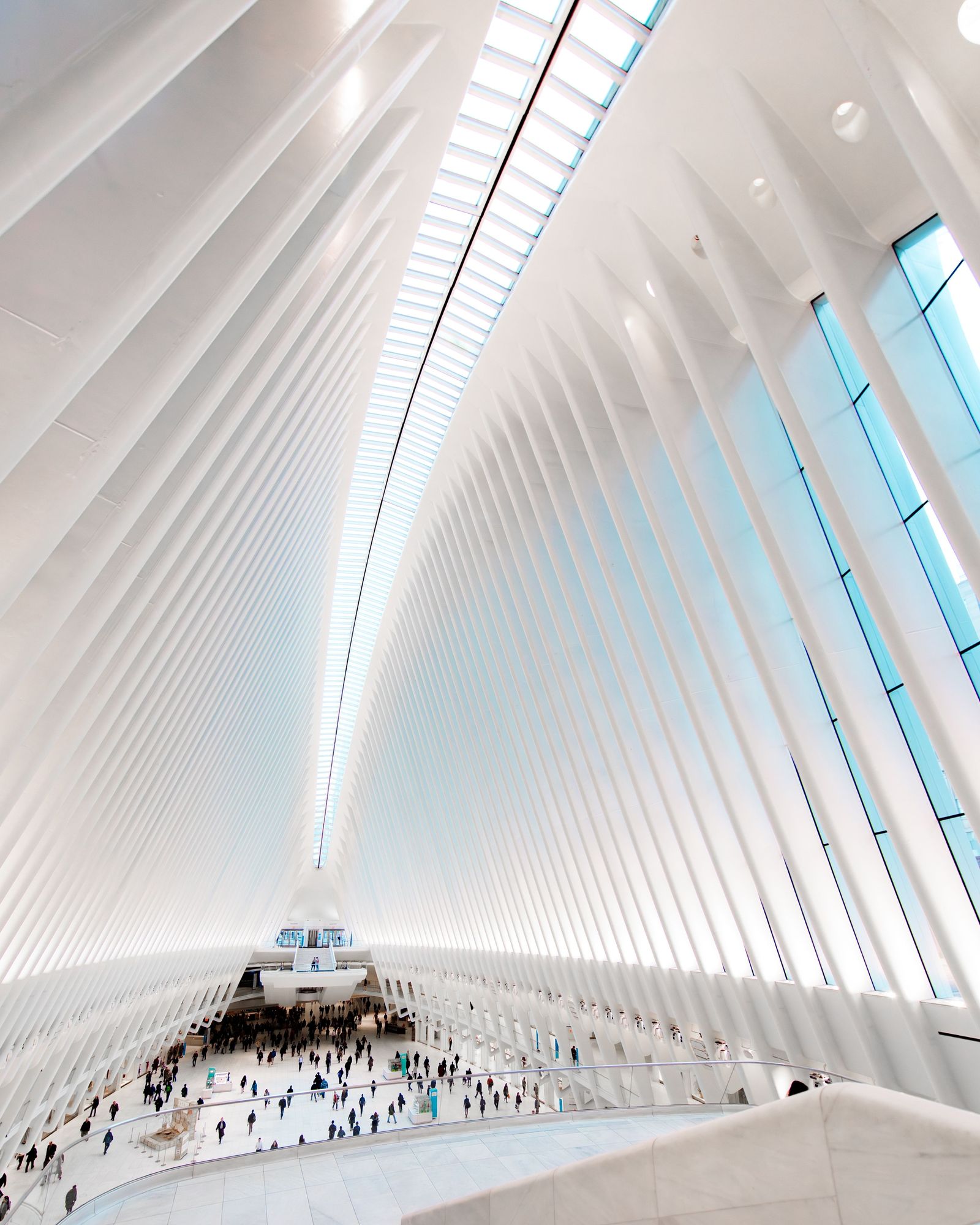 The Oculus 02