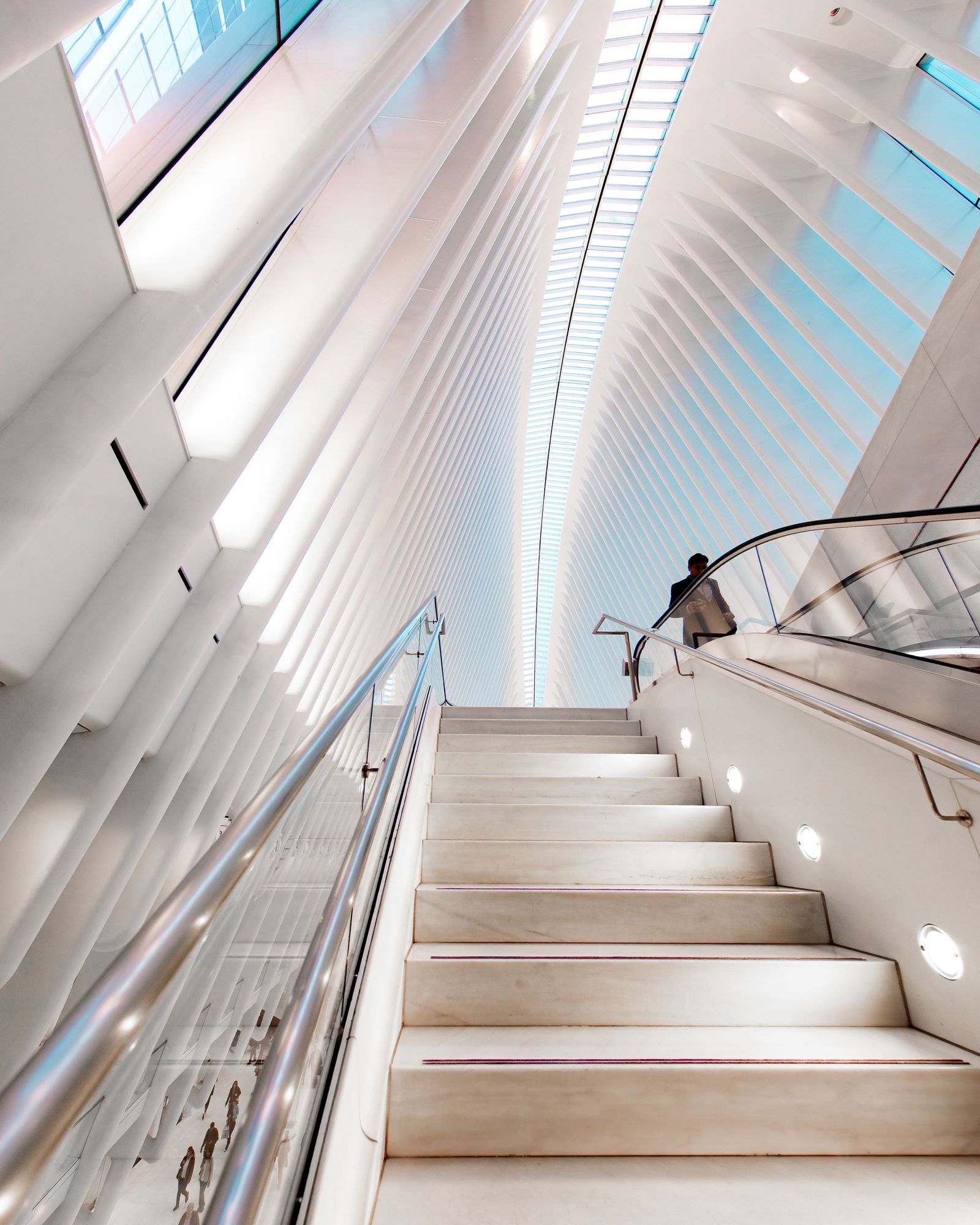 The Oculus 03