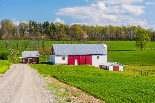 Barns